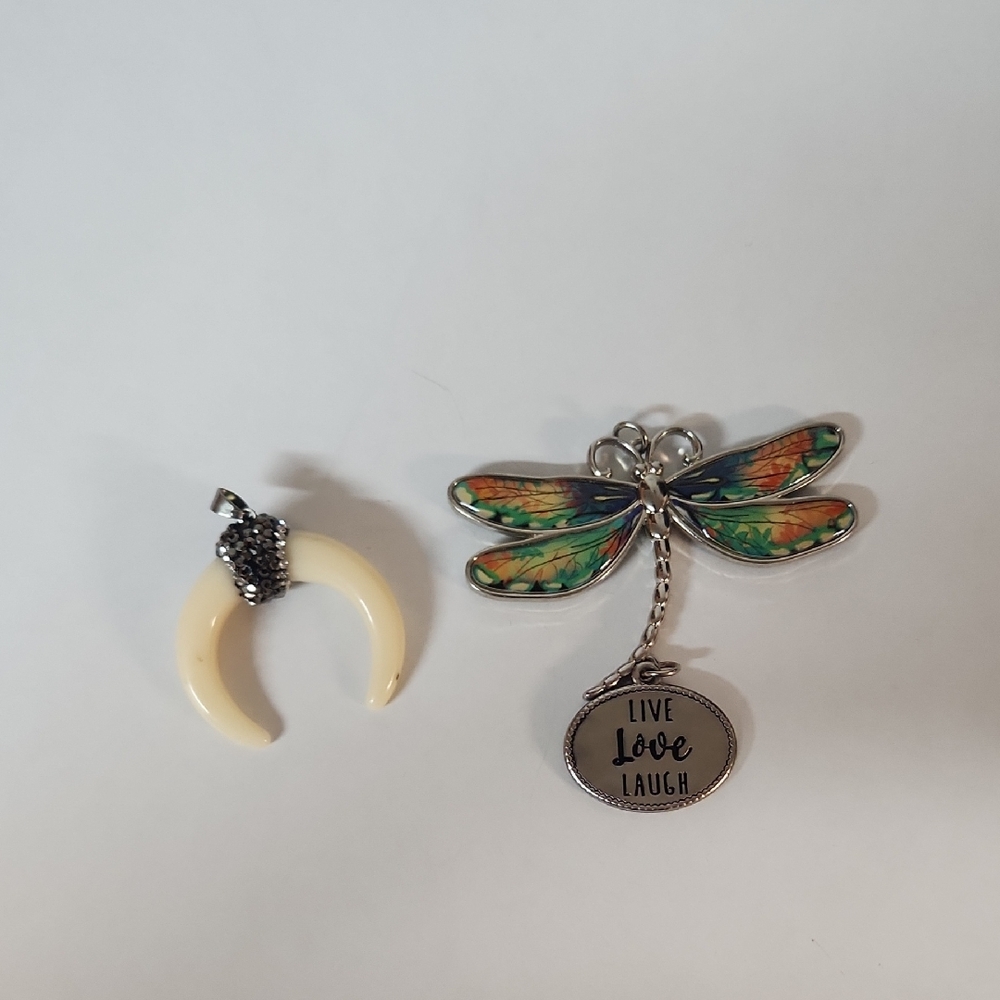 Dragonfly Pendant and Resin Crescent Necklace Set